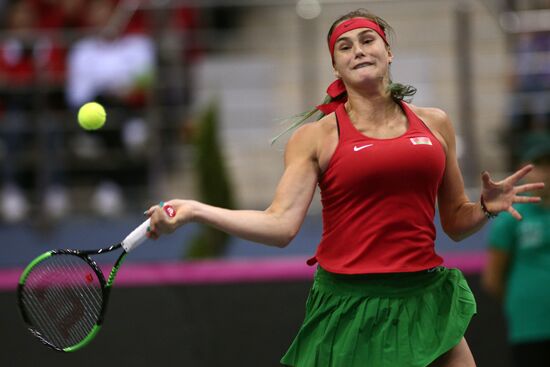 Tennis. Fed Cup final. Belarus vs. USA. Day two