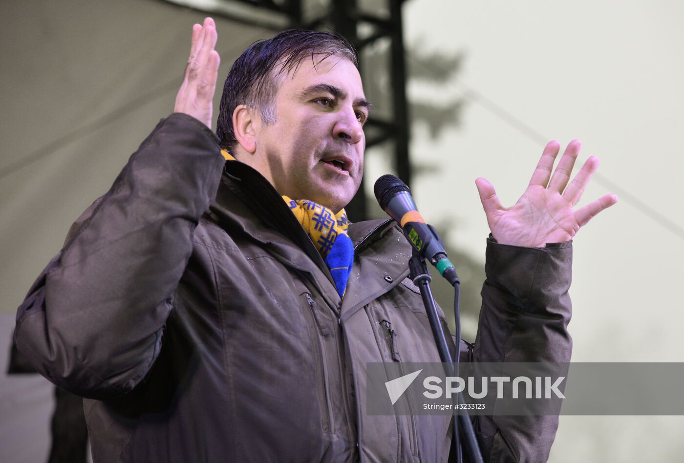 Mikheil Saakashvili supporters stage rally in Kiev
