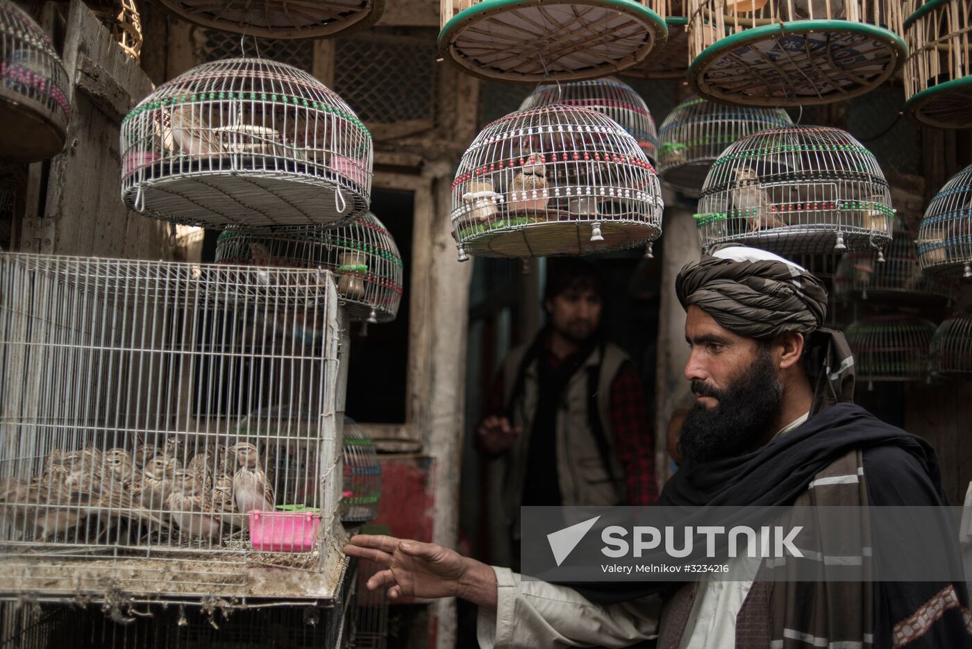 Countries of the world. Afghanistan