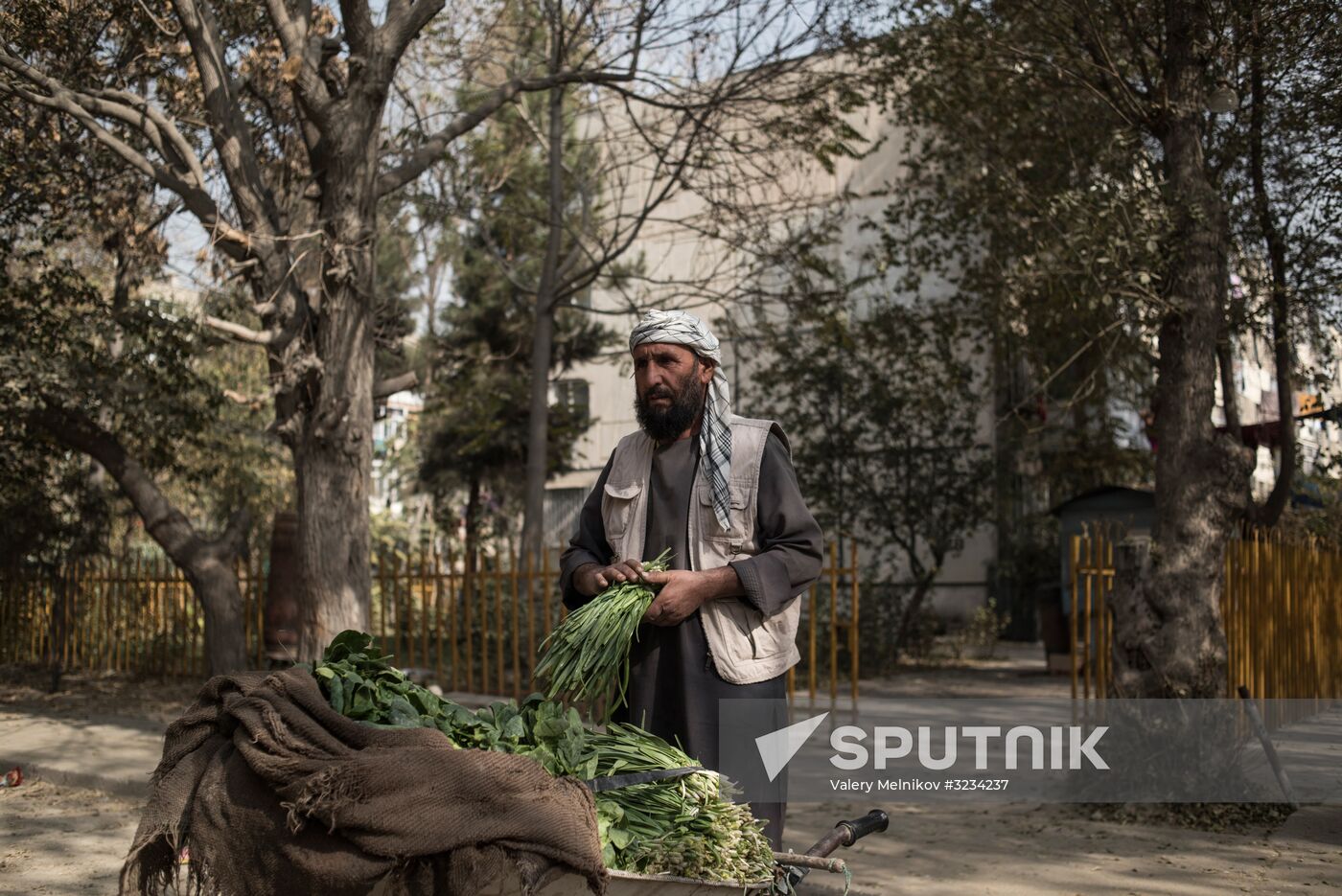 Countries of the world. Afghanistan
