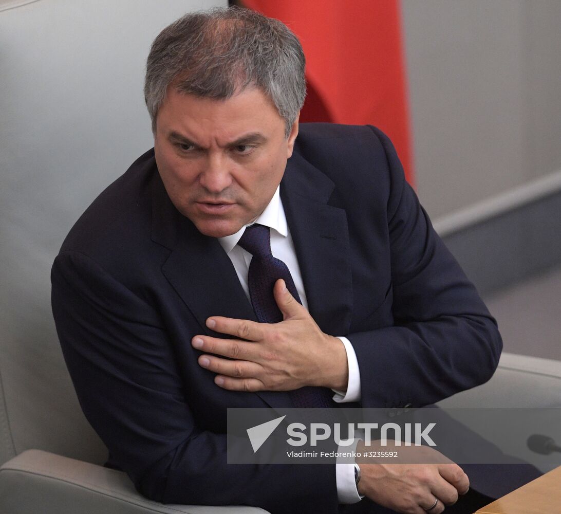 State Duma plenary meeting