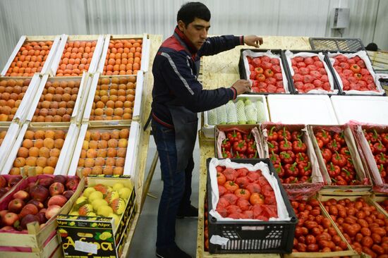Opening of FoodSib hypermarket in Novosibirsk