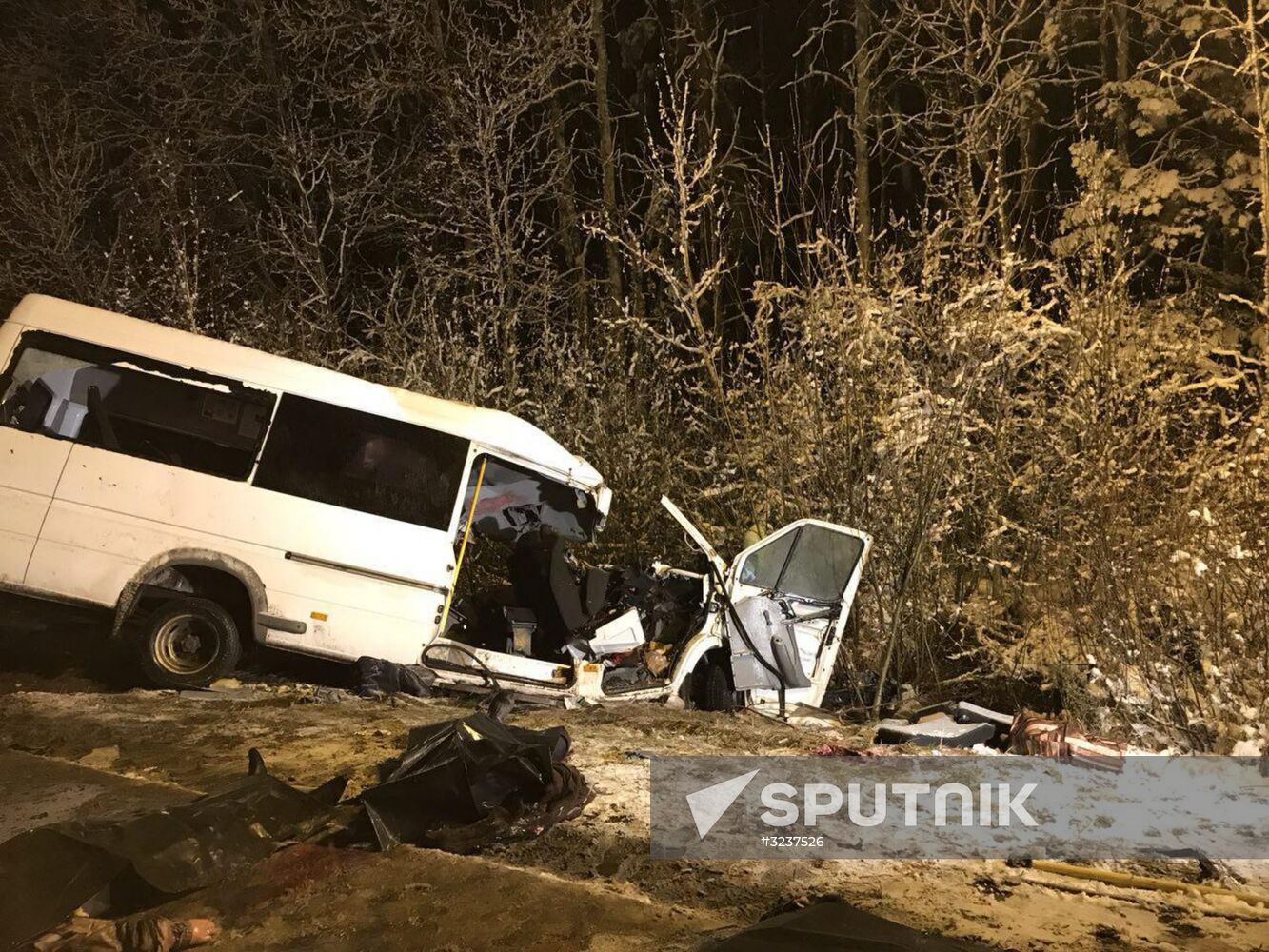 Minibus collides with timber truck in Mari El
