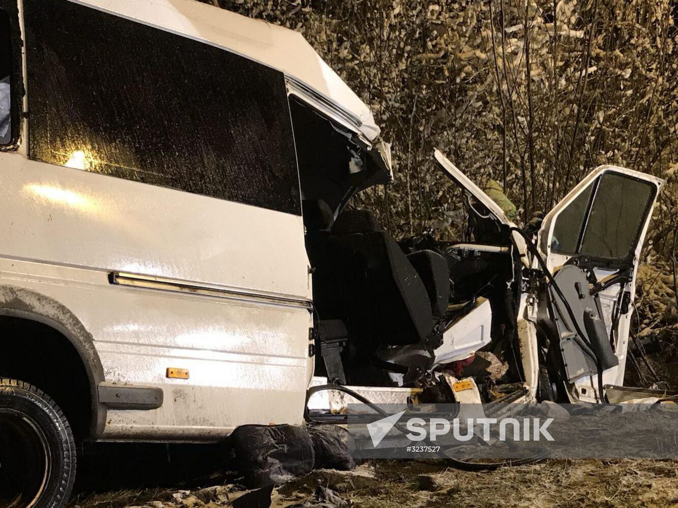 Minibus collides with timber truck in Mari El