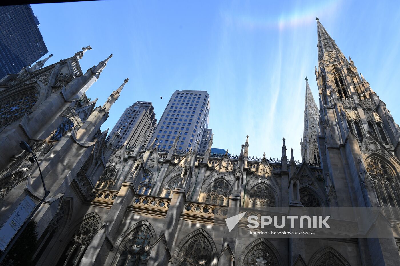 Cities of the world. New York