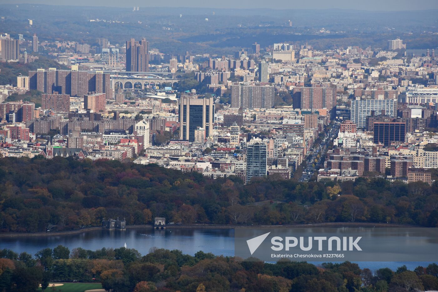 Cities of the world. New York