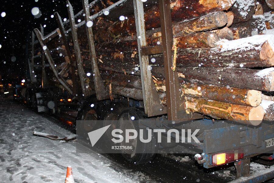 Minibus collides with timber truck in Mari El