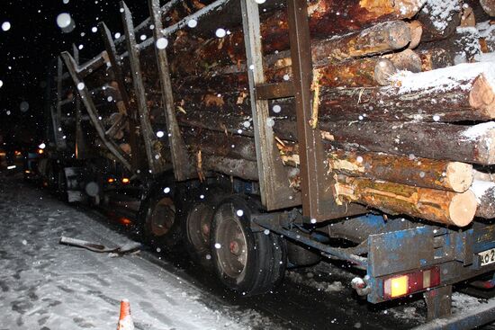 Minibus collides with timber truck in Mari El