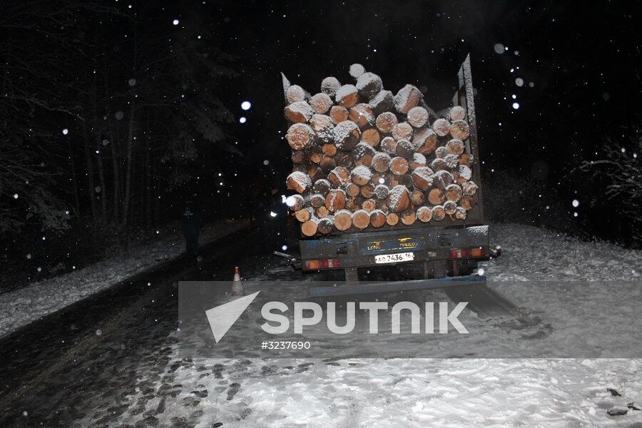 Minibus collides with timber truck in Mari El