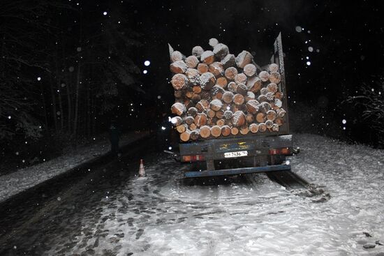 Minibus collides with timber truck in Mari El