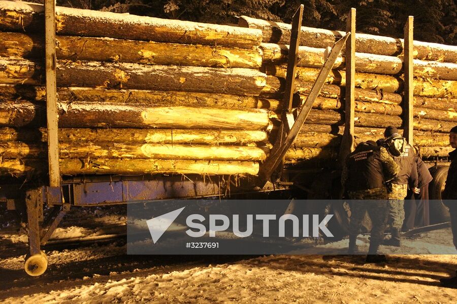 Minibus collides with timber truck in Mari El