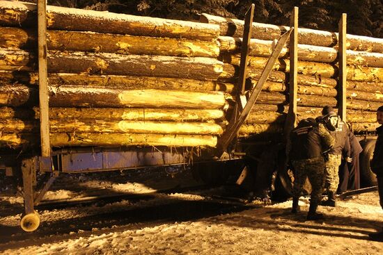 Minibus collides with timber truck in Mari El