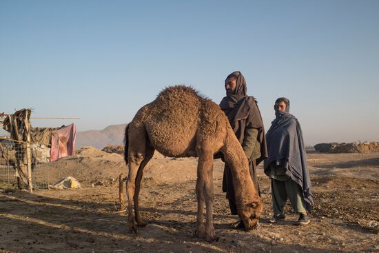 Countries of the world. Afghanistan