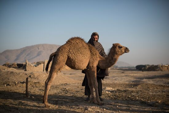 Countries of the world. Afghanistan