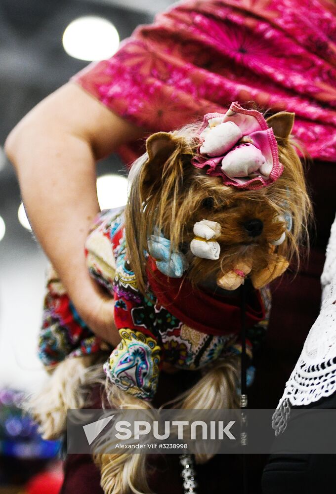 Russian 2017 international dog show