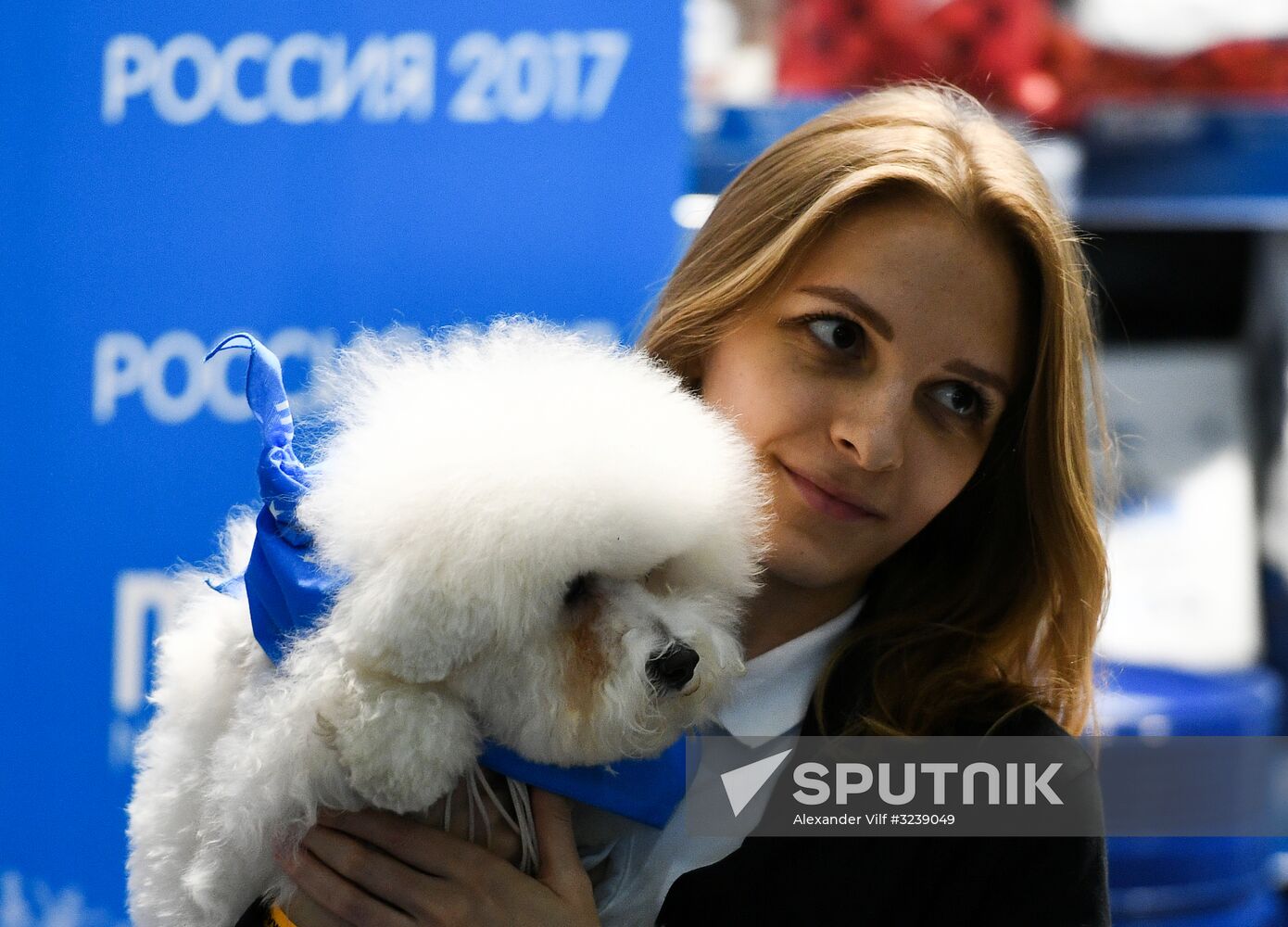 Russian 2017 international dog show