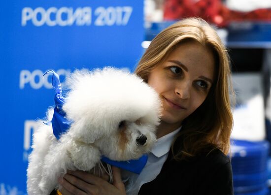Russian 2017 international dog show
