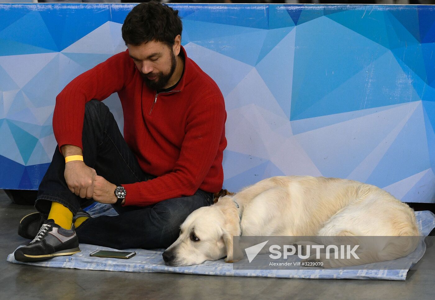 Russia 2017 International Dog Show