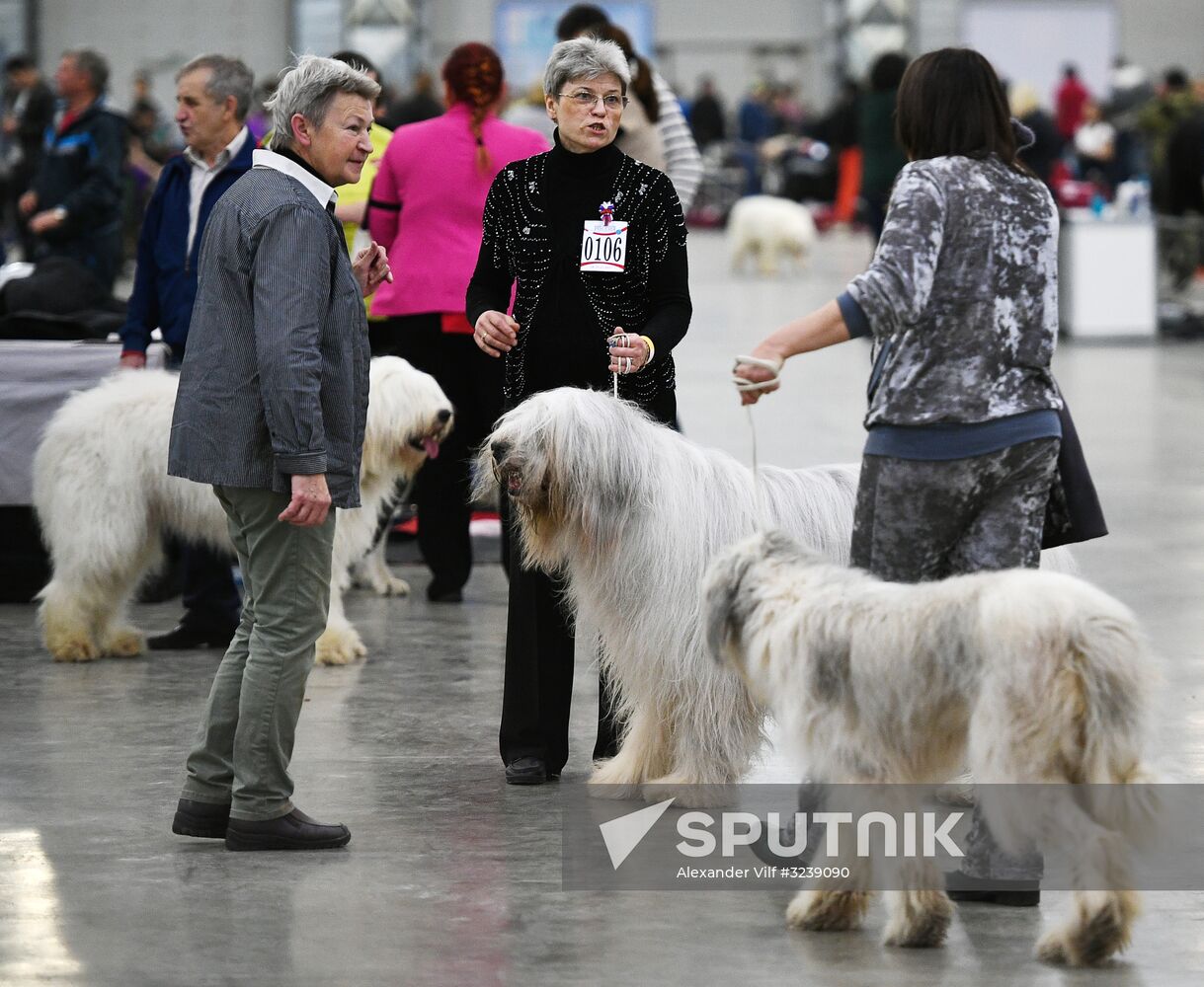 Russia 2017 International Dog Show