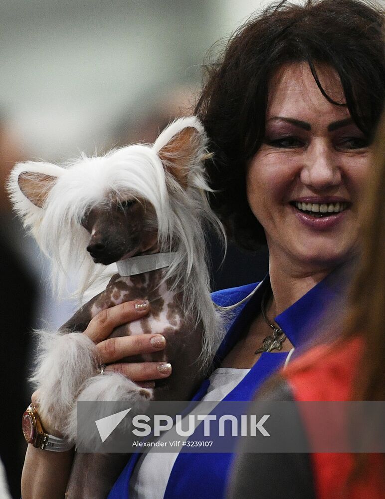 Russia 2017 International Dog Show