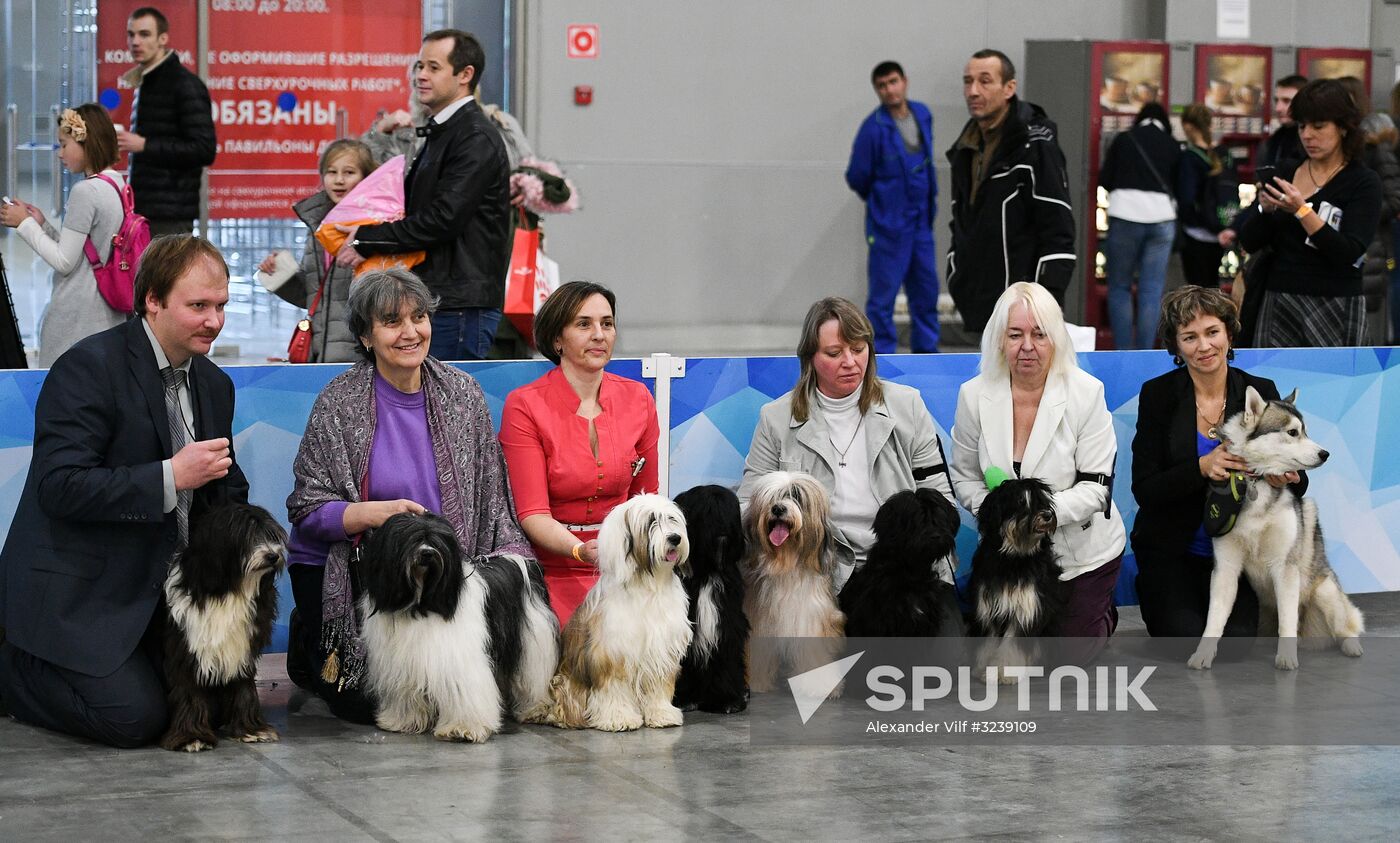Russia 2017 International Dog Show