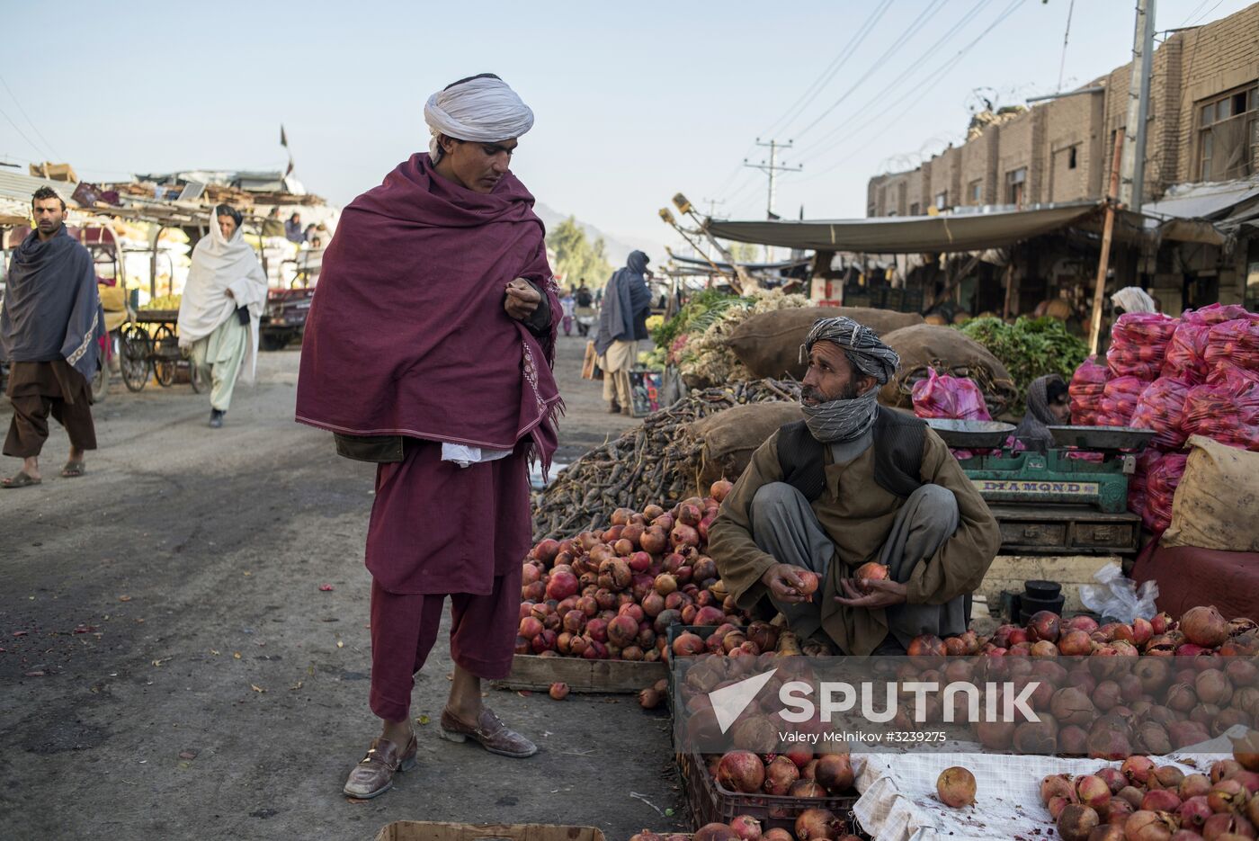 Countries of the world. Afghanistan
