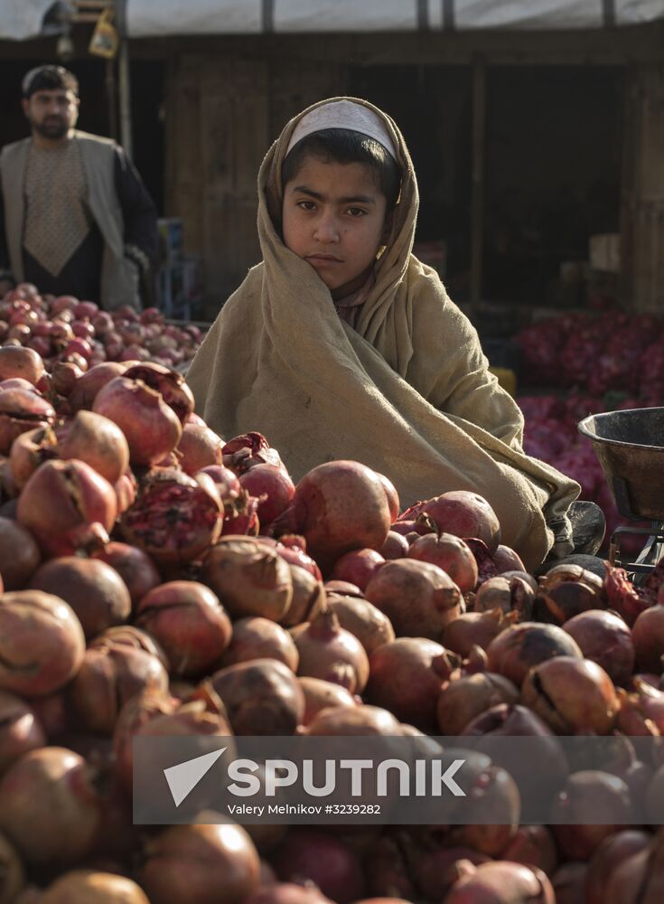 Countries of the world. Afghanistan