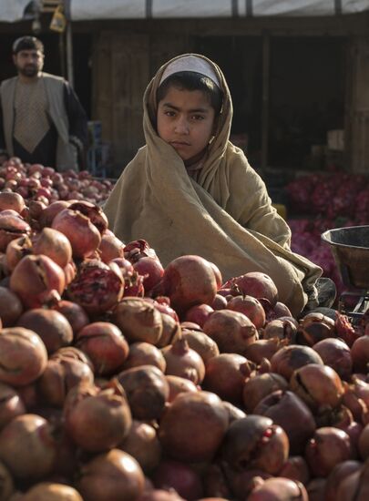 Countries of the world. Afghanistan