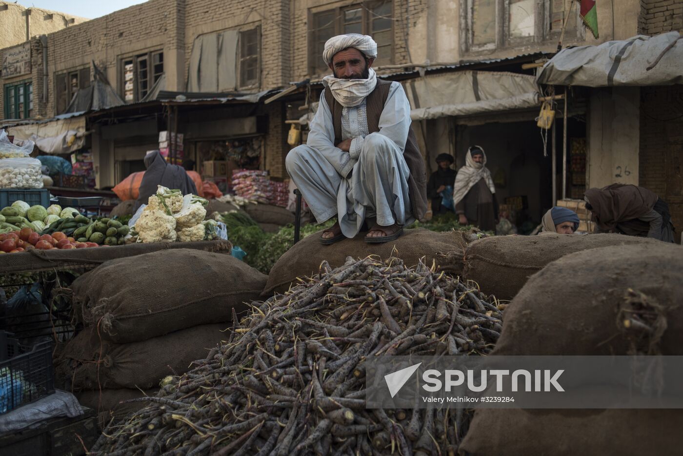 Countries of the world. Afghanistan