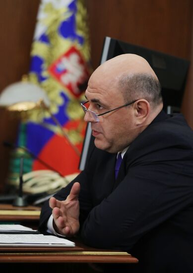 Russian President Vladimir Putin meets with FTS Head Mikhail Mishustin