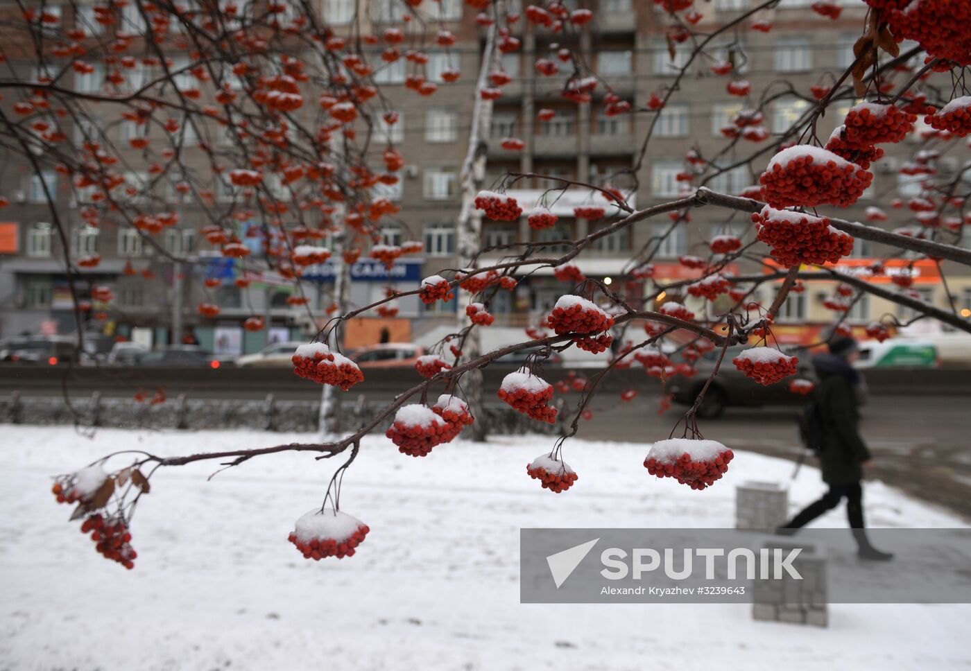 Winter in Novosibirsk