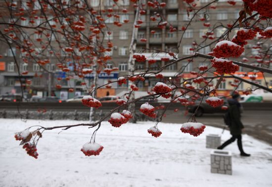 Winter in Novosibirsk