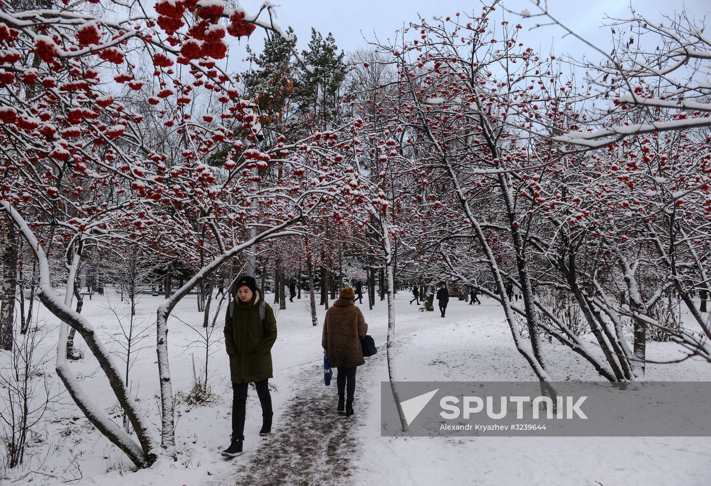 Winter in Novosibirsk