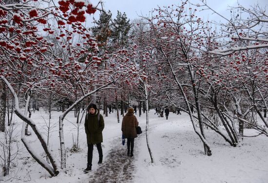 Winter in Novosibirsk