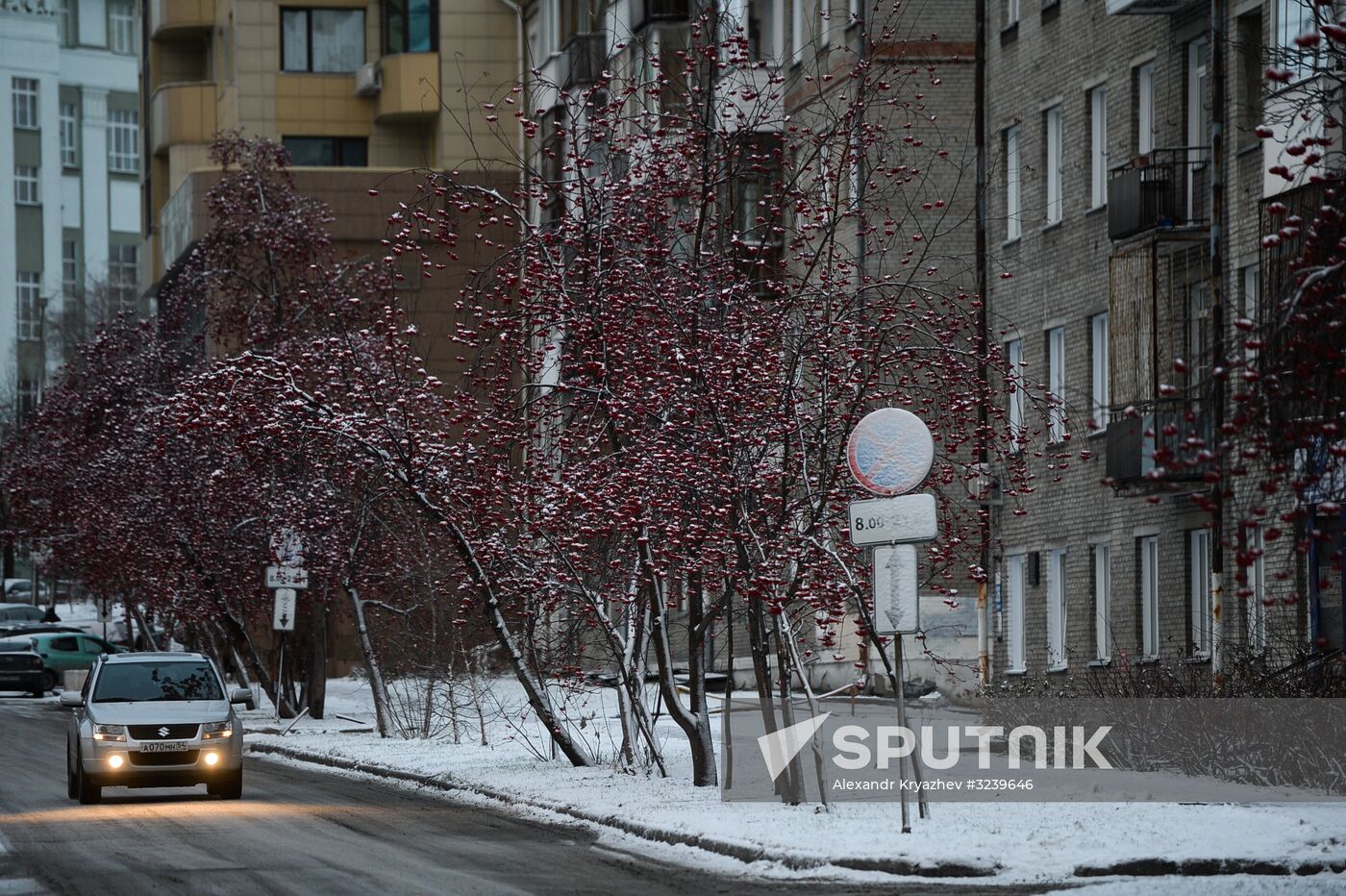 Winter in Novosibirsk