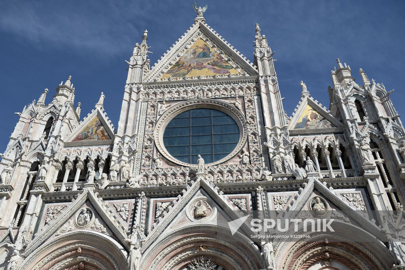 Cities of the world. Siena