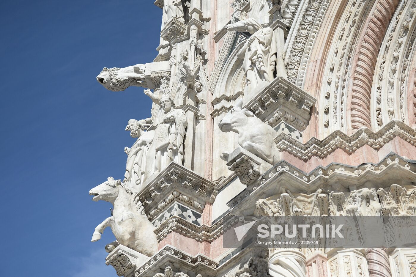 Cities of the world. Siena