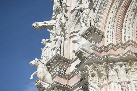Cities of the world. Siena