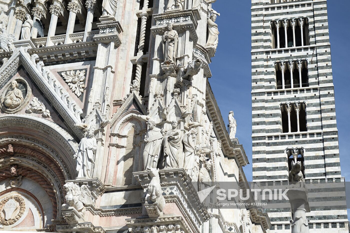 Cities of the world. Siena