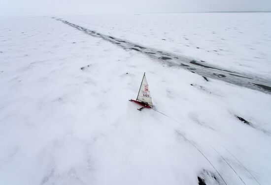 Ice boating competition in Ob Sea in Novosibirsk