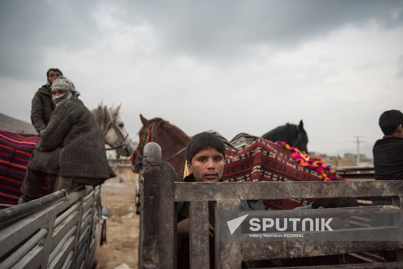 Buzkashi national game