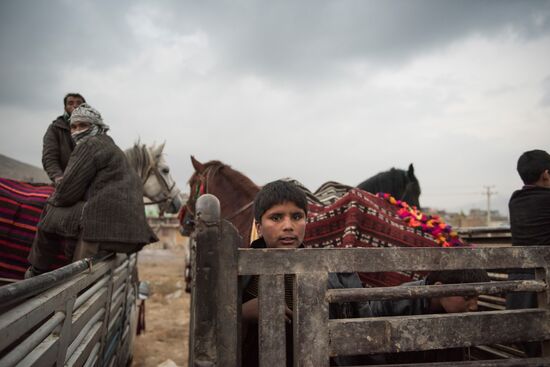 Buzkashi national game