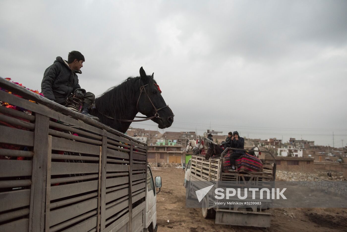Buzkashi national game
