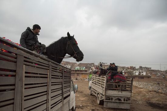 Buzkashi national game
