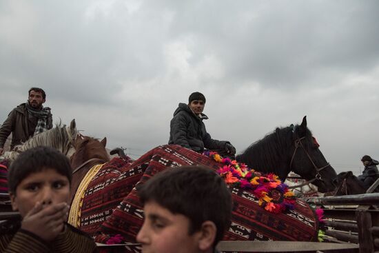 Buzkashi national game