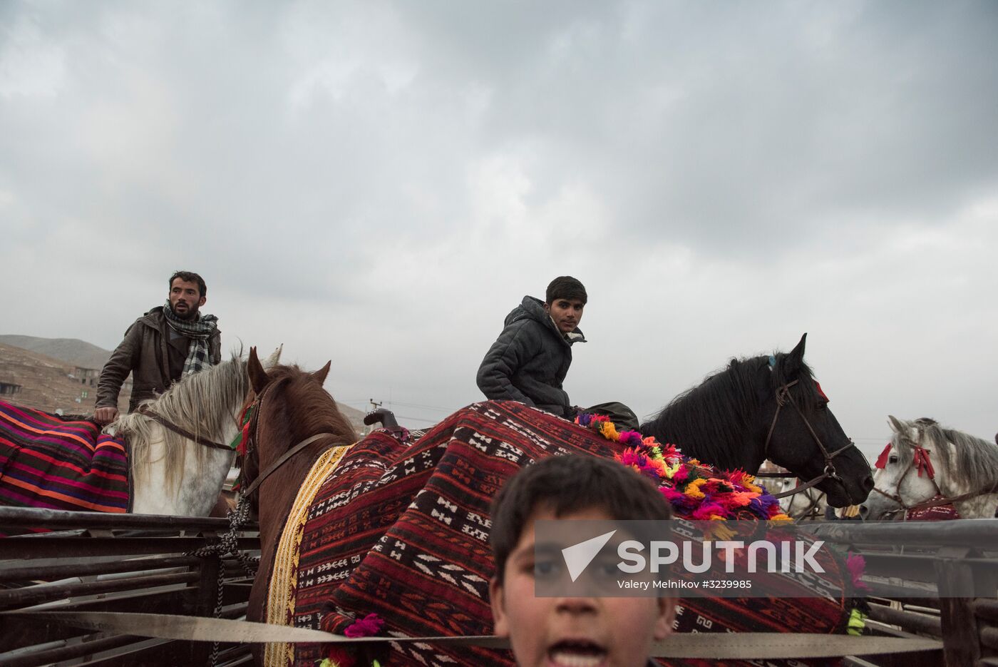 Buzkashi national game