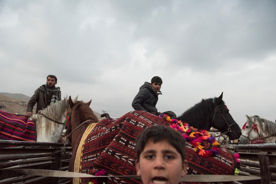 Buzkashi national game