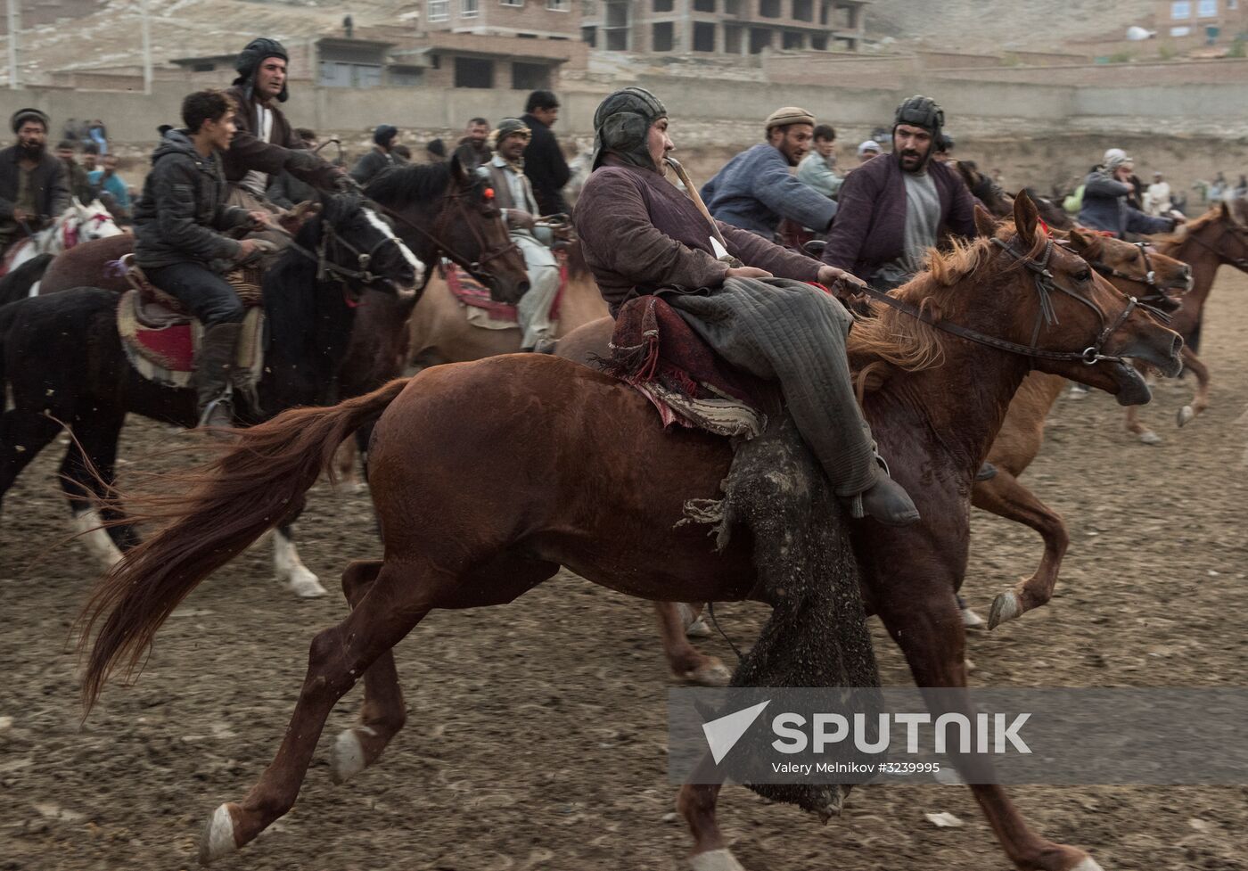 Buzkashi national game