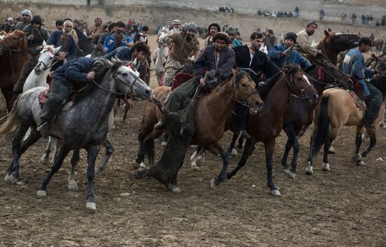 Buzkashi national game