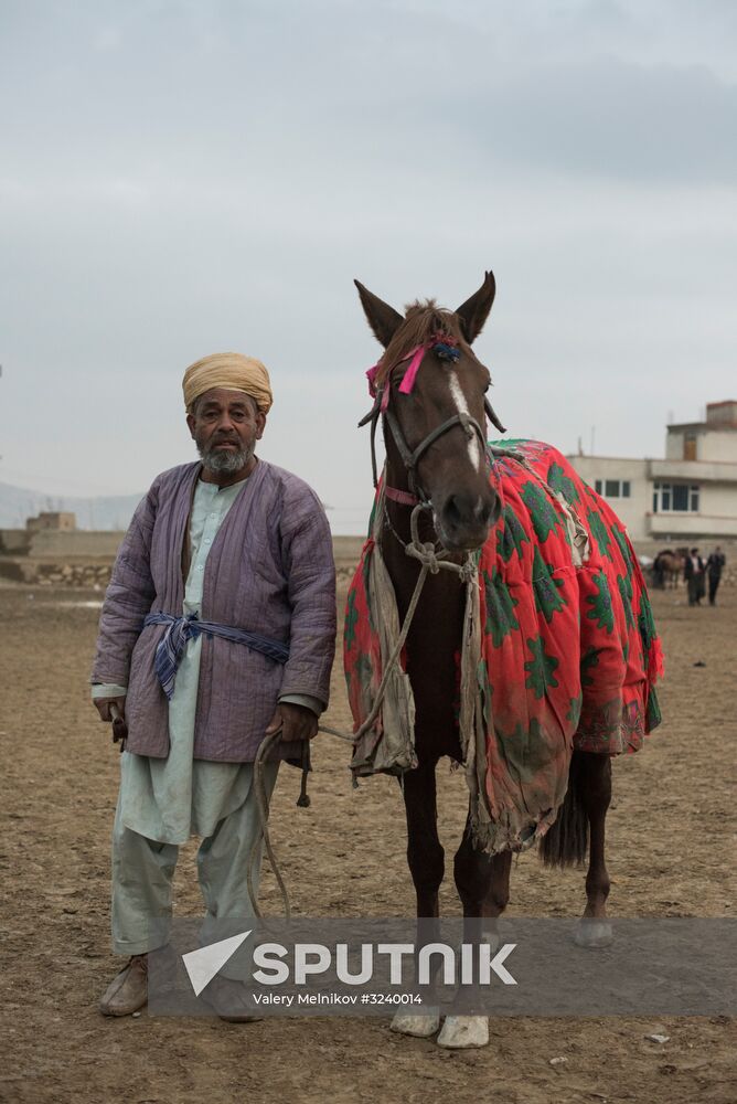 Buzkashi national game